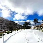Mountain Eco Shelter 5 Luxury tent