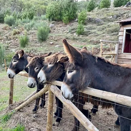 Mountain Eco Shelter 5