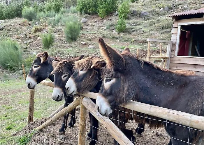 Mountain Eco Shelter 5